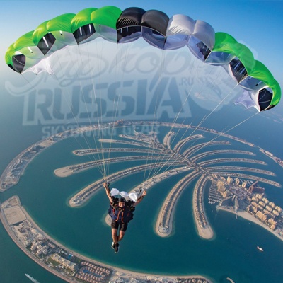 картинка Horizon от магазина SkyShop Russia